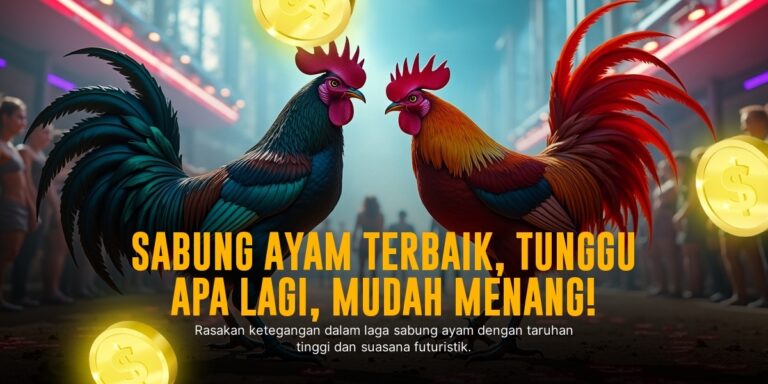 Taruhan Sabung Ayam SV388: Kenali Jenis Ayam Aduan dan Peluang Menang